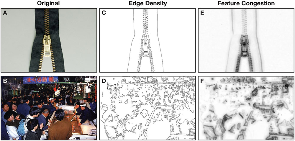 Visual complexity and affect: Ratings reflect more than meets the eye