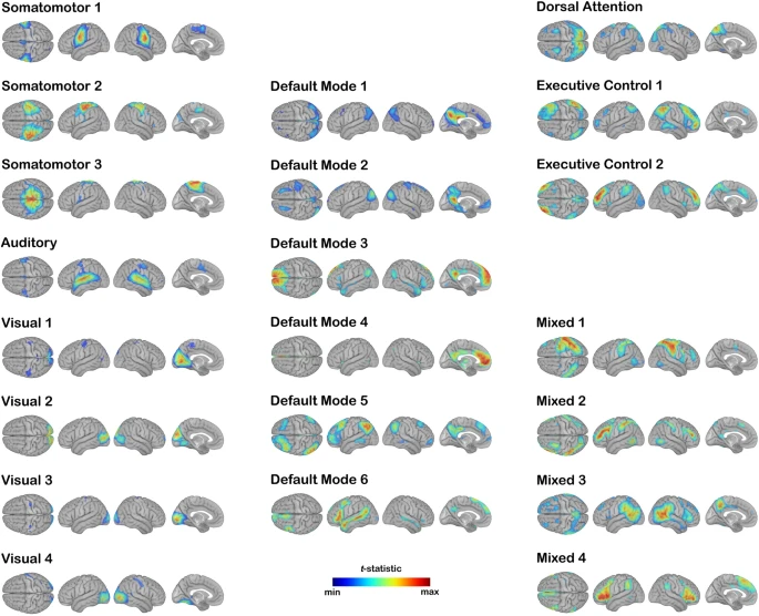 Investigating the effects of healthy cognitive aging on brain functional connectivity using 4.7 T resting-state functional magnetic resonance imaging