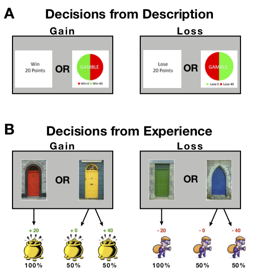 Comparative inspiration: From puzzles with pigeons to novel discoveries with humans in risky choice