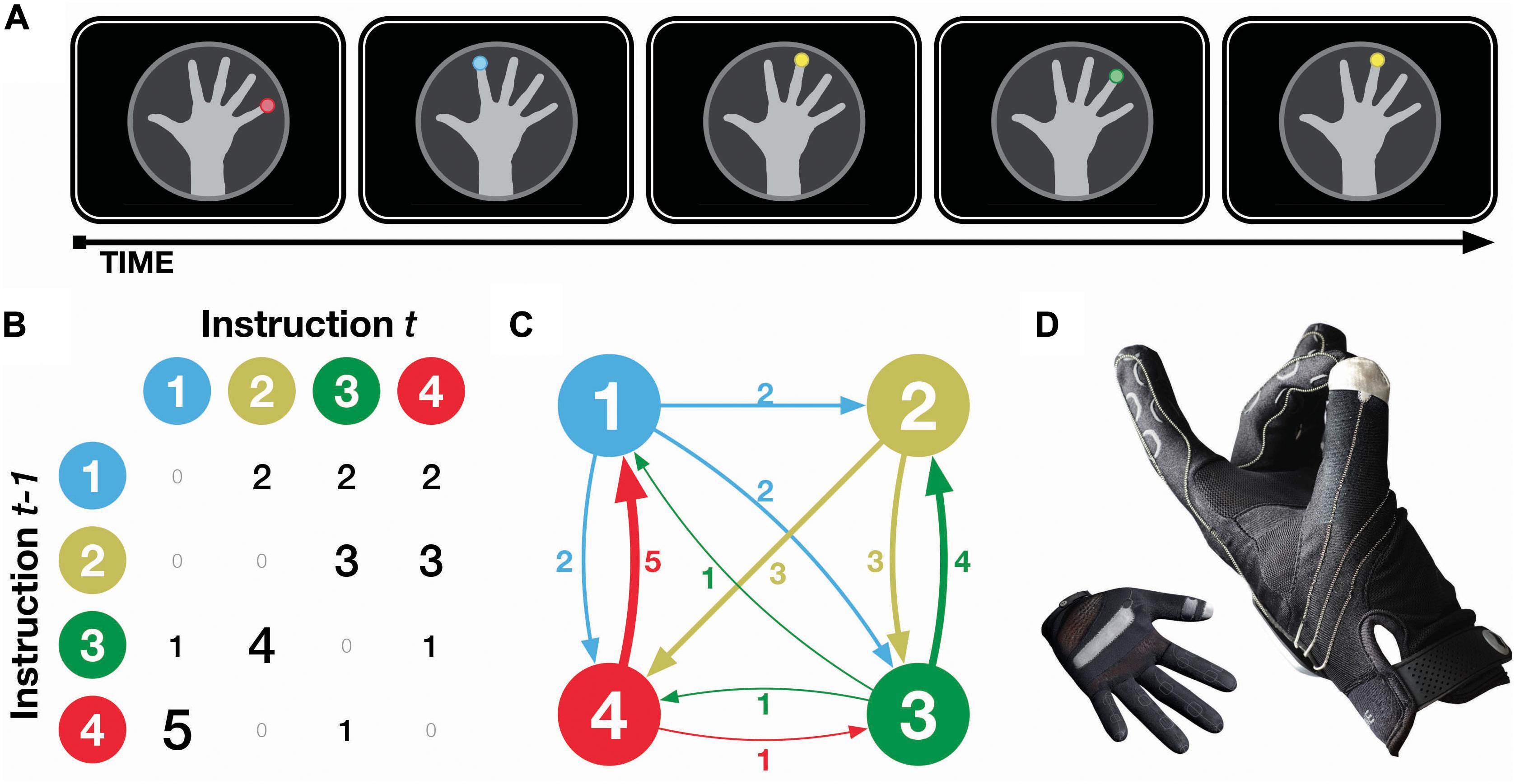 Convergent and Distinct Effects of Multisensory Combination on Statistical Learning Using a Computer Glove
