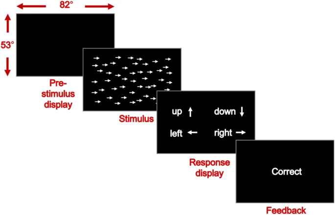 Cerebellar tDCS Alters the Perception of Optic Flow